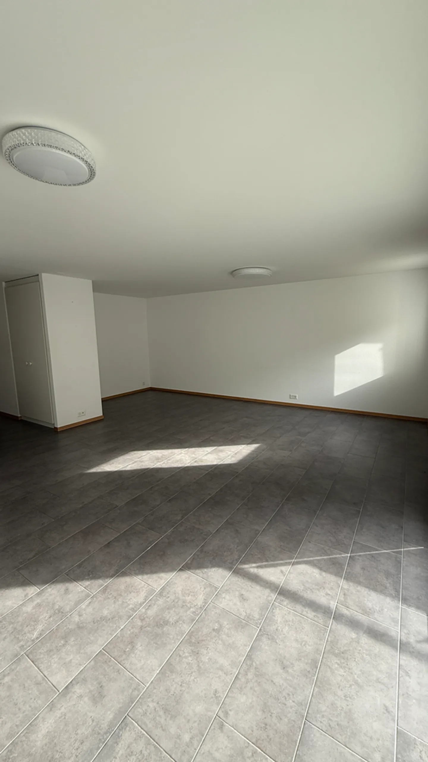 Ampio appartamento 3.5 locali - Foto 3 di 6