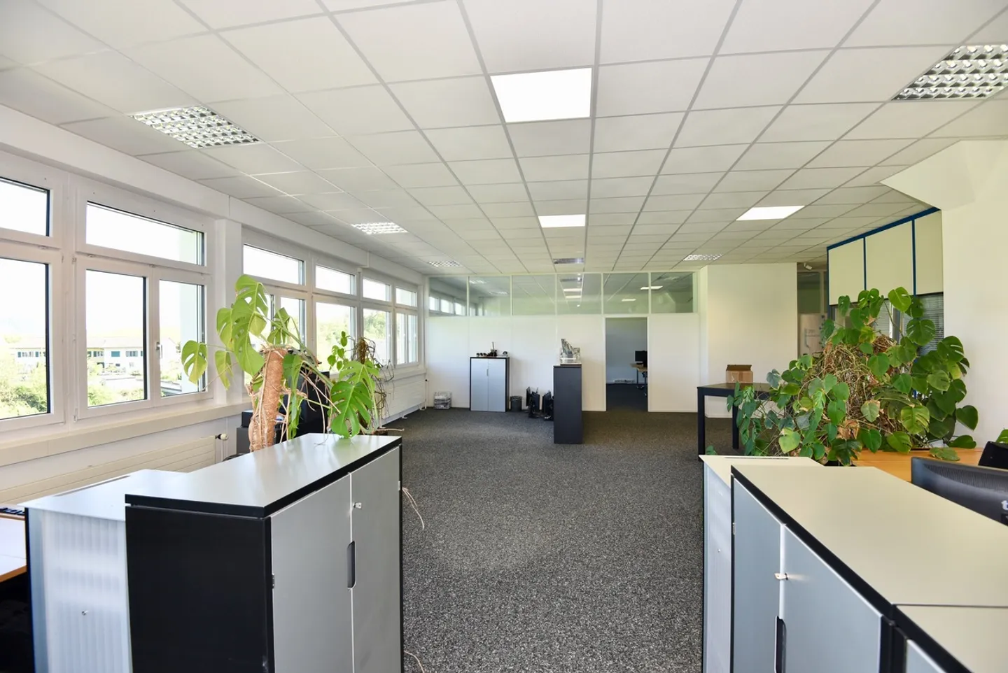 Modern, fully developed office space (260 m2) - Photo 2 of 10
