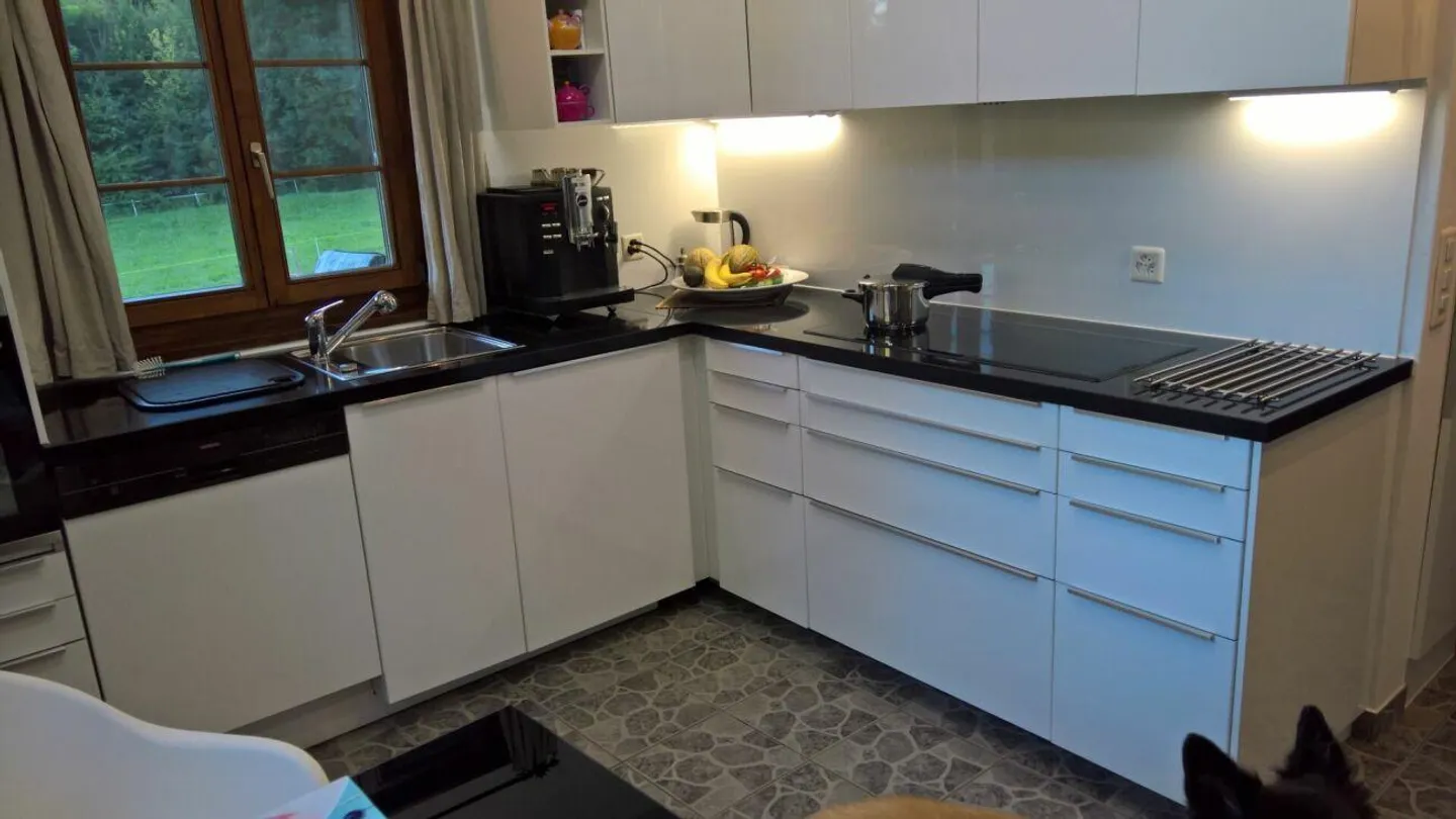 Letzte Gelegenheit - Reitanlage mit Bauprojekt - Foto 9 von 25