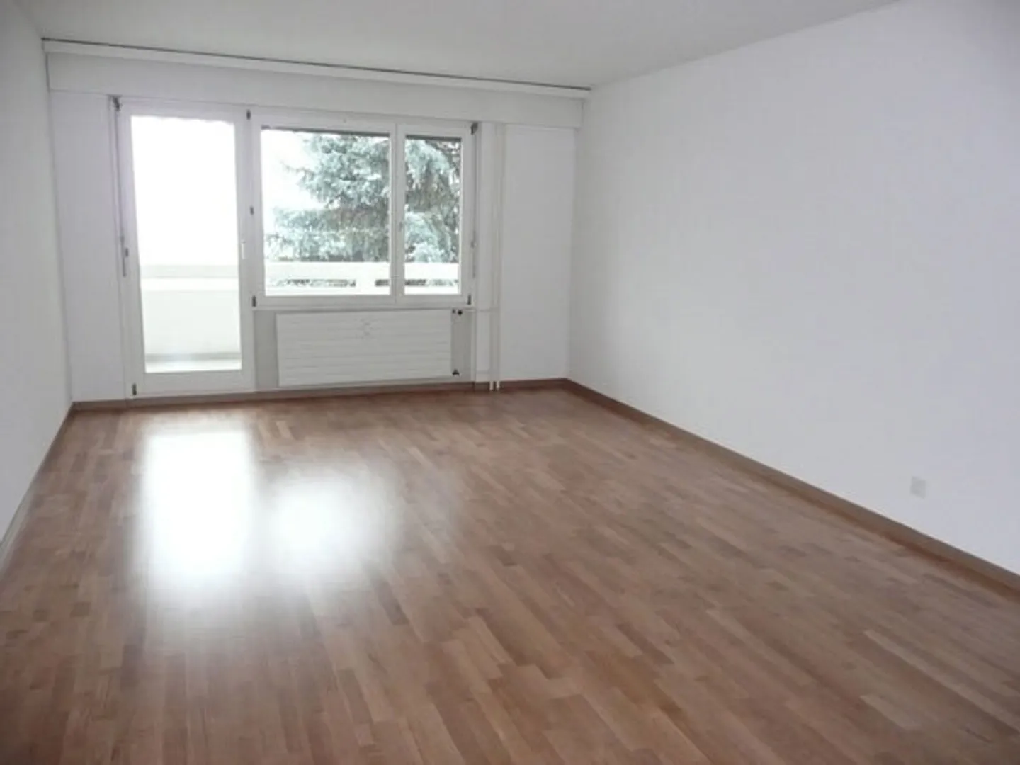 Charmante Wohnung in Greifensee - Foto 3 von 6