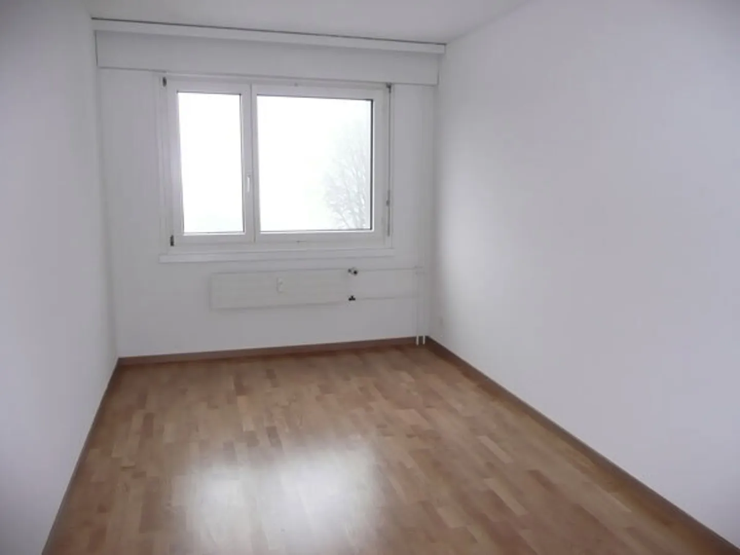 Charmante Wohnung in Greifensee - Foto 4 von 6
