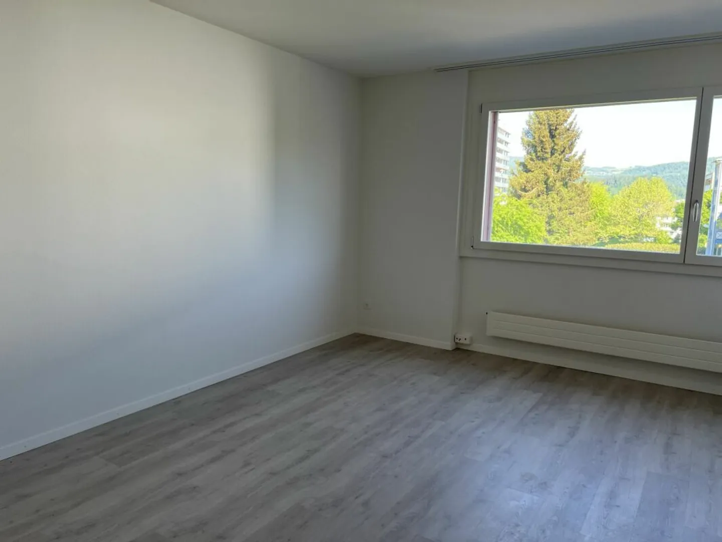 Dans un endroit calme près de la lisière de la forêt - Photo 6 sur 13