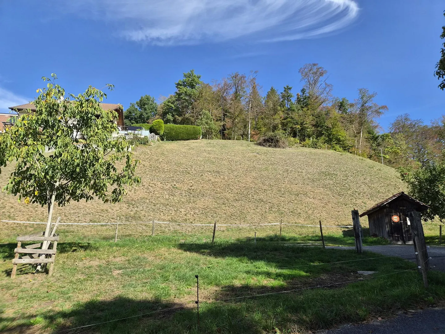 Geräumiges Baugrundstück in Herbligen - Foto 1 von 2
