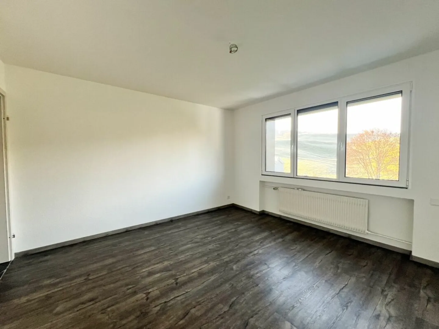 Appartamento con 4.5 stanze completamente ristrutturato - Foto 6 di 8