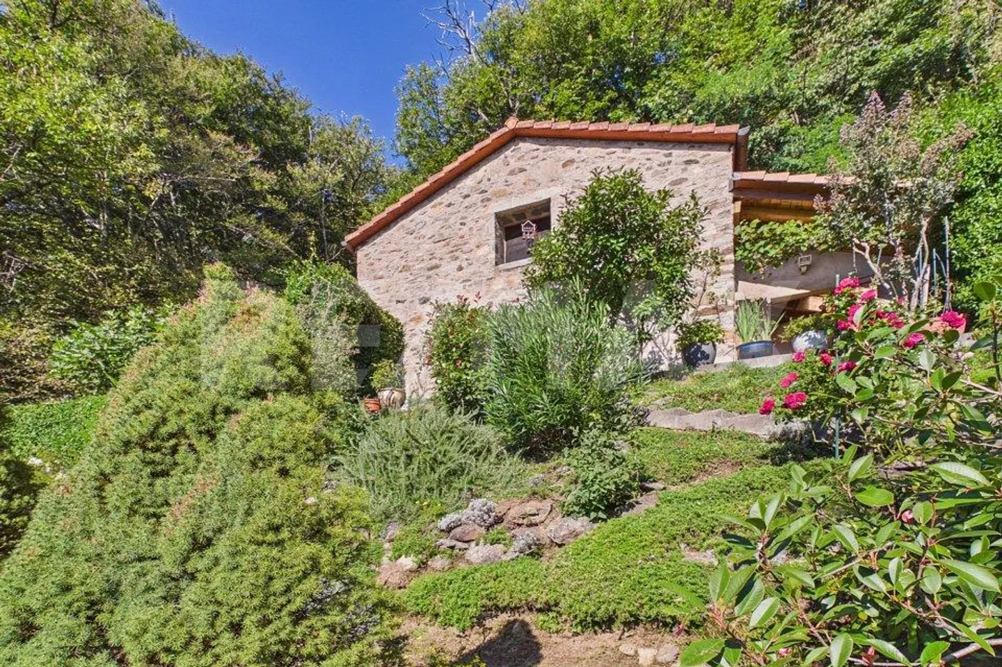 Charming House with Botanical Garden - Photo 5 of 13