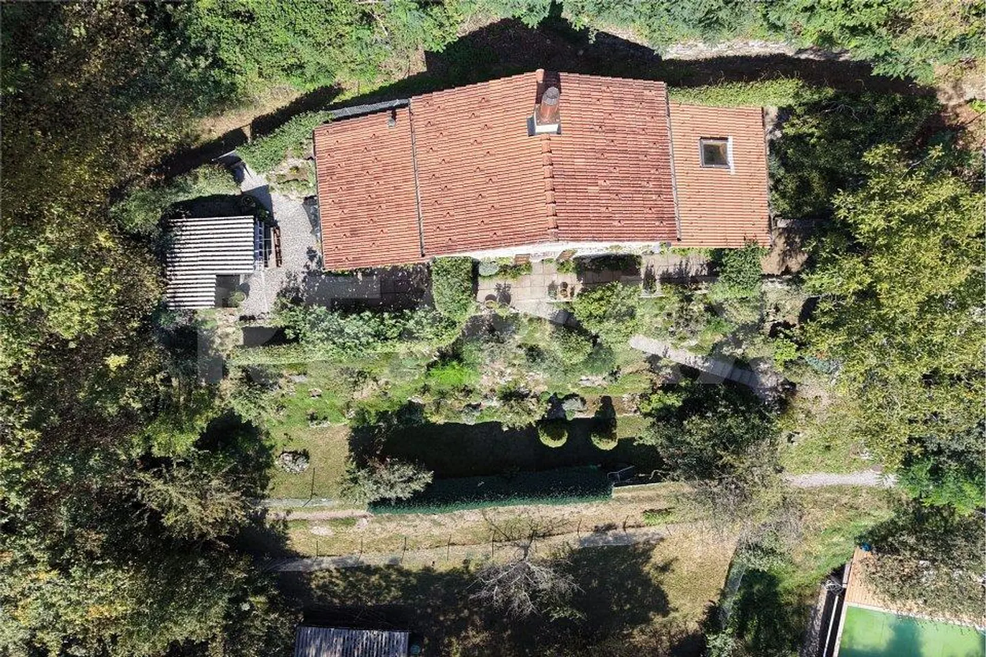 Charming House with Botanical Garden - Photo 6 of 13