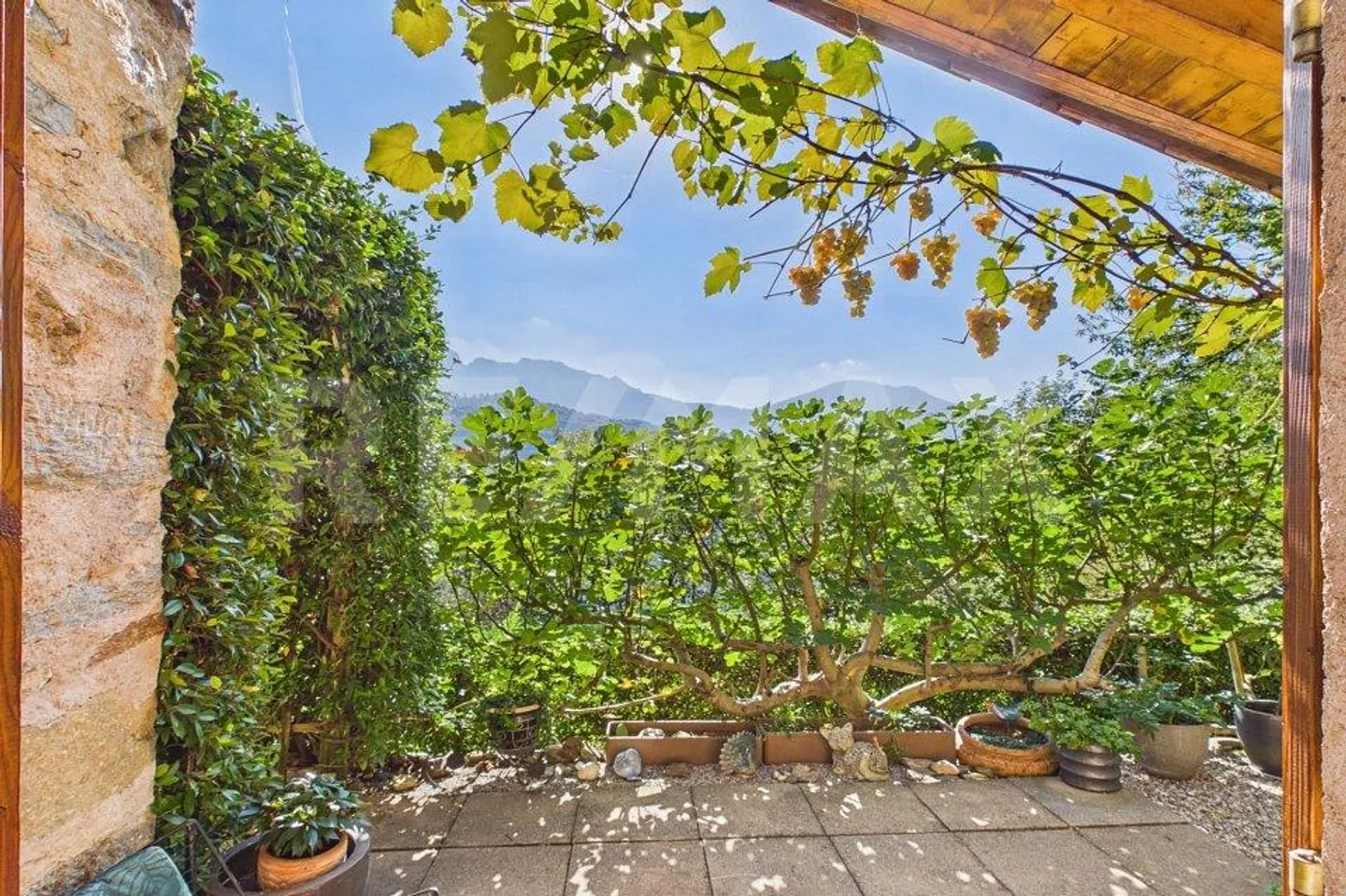 Charming House with Botanical Garden - Photo 8 of 13