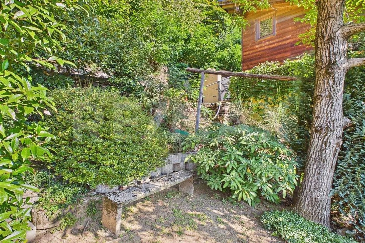 Charming House with Botanical Garden - Photo 11 of 13