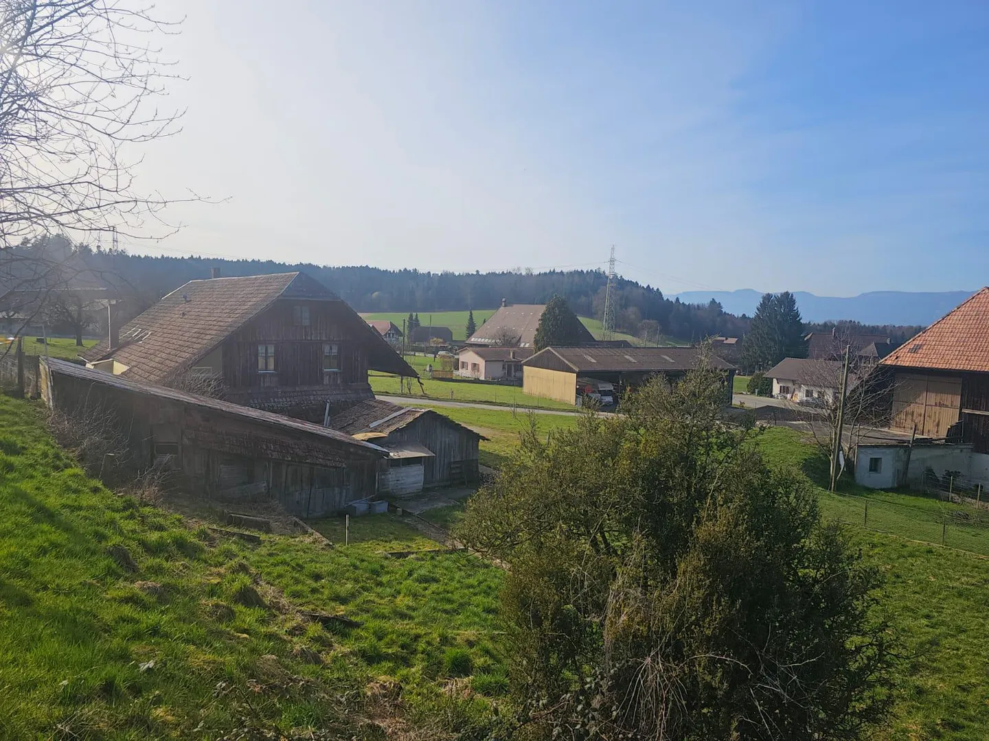 Wohntraum an ruhiger Lage | vier freistehende EFH - Foto 3 von 6