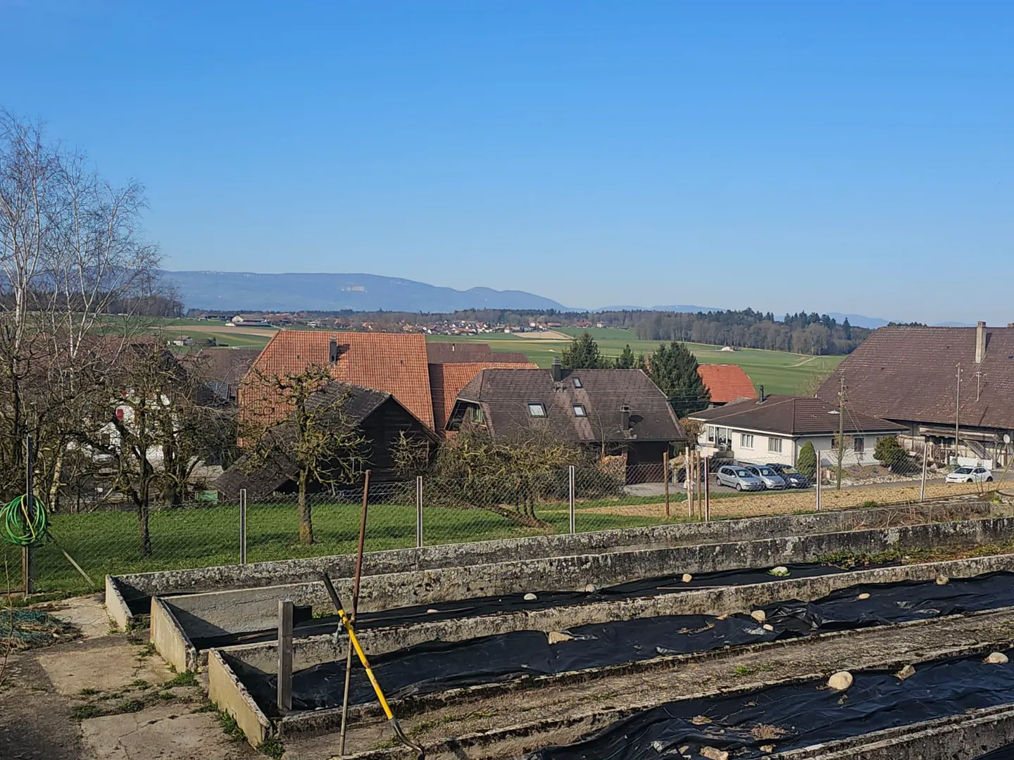 Wohntraum an ruhiger Lage | vier freistehende EFH - Foto 4 von 6