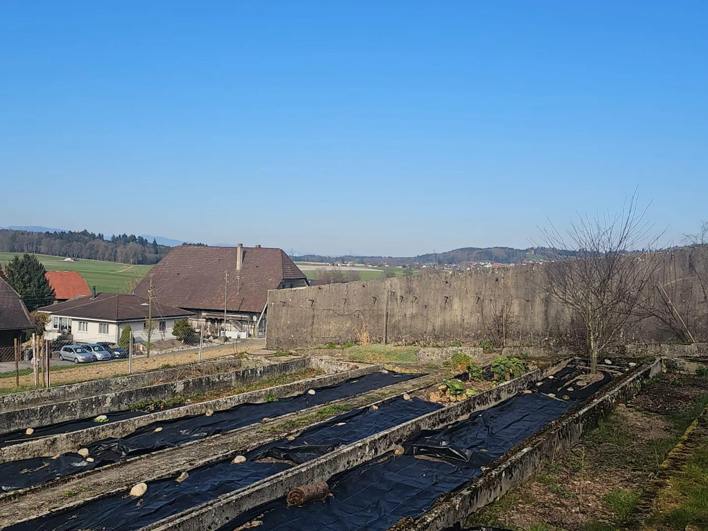 Wohntraum an ruhiger Lage | vier freistehende EFH - Foto 6 von 6
