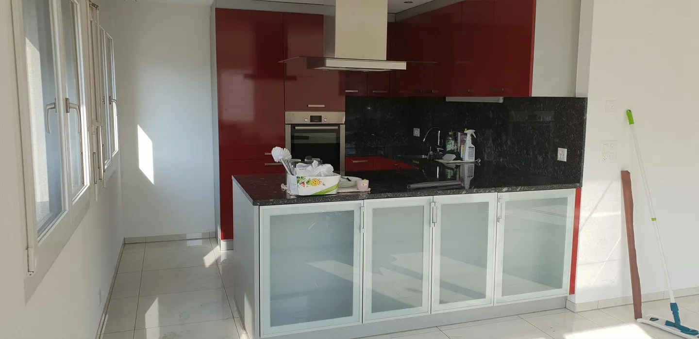 Appartamento spazioso e moderno di 4,5 stanze - Foto 3 di 26