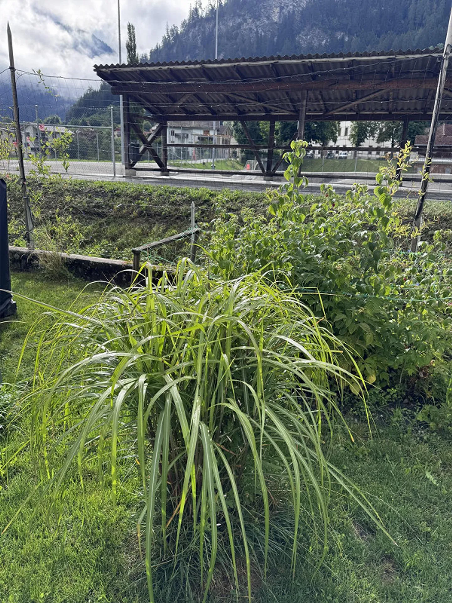 Affascinante casa unifamiliare di 5 stanze - Foto 15 di 15