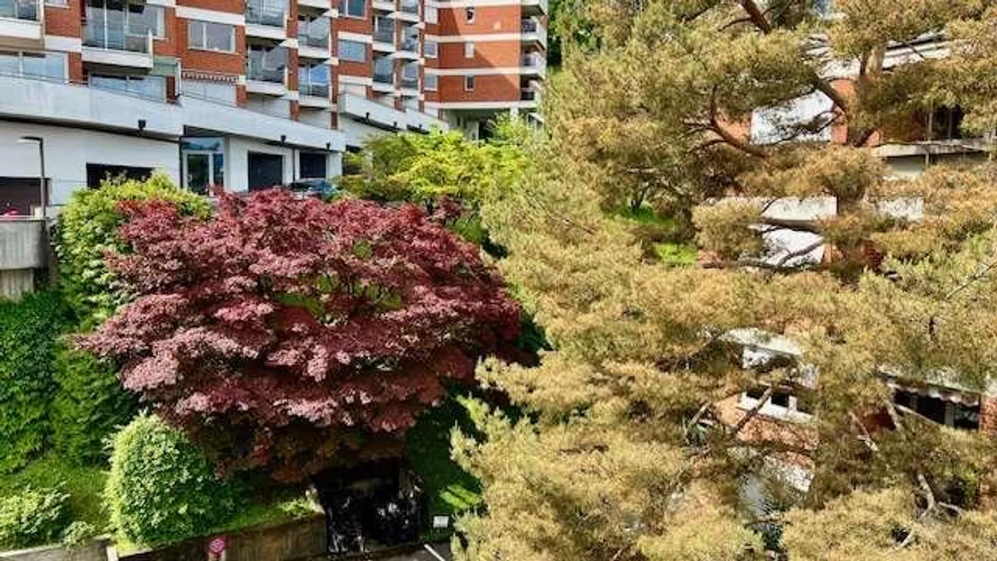 Apartment with Lake View in Lugano Paradiso - Photo 2 of 13