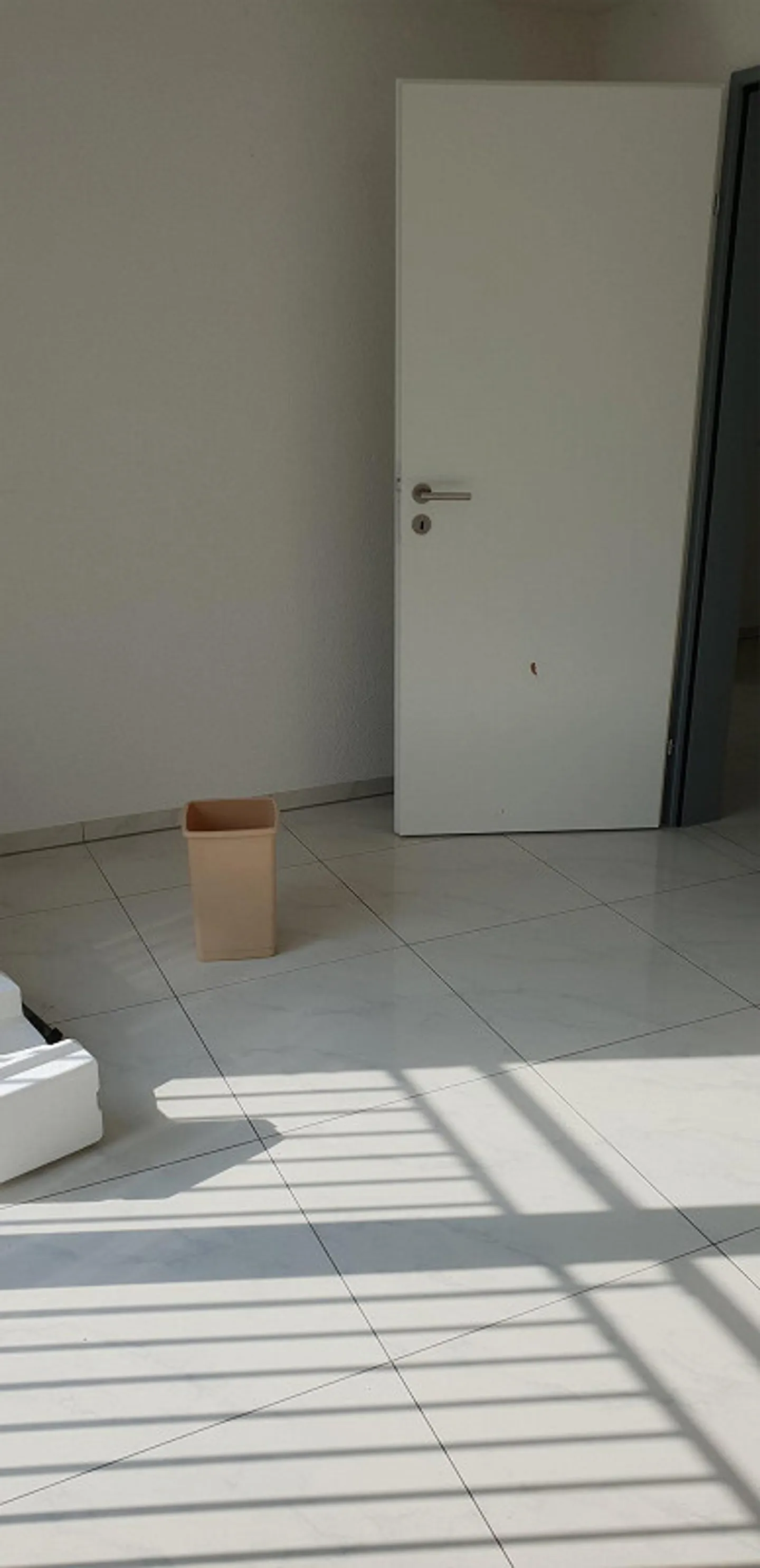 Appartamento spazioso e moderno di 4,5 stanze - Foto 25 di 26