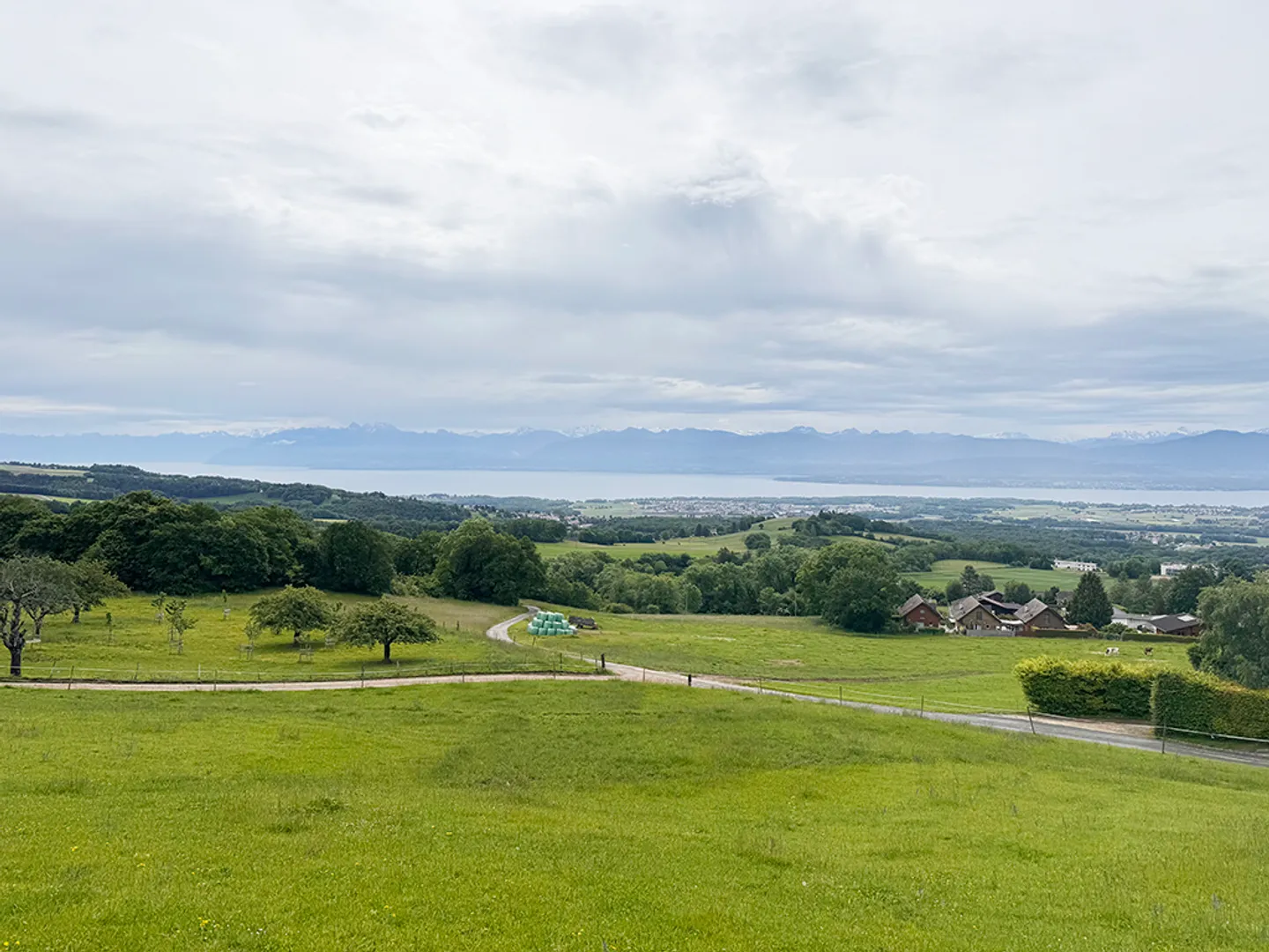 6,5-Zimmer-Haus - Foto 4 von 4