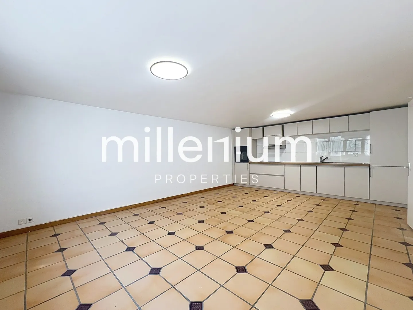 Bella villa a Bellevue vicino alle organizzazioni internazionali - Foto 14 di 20