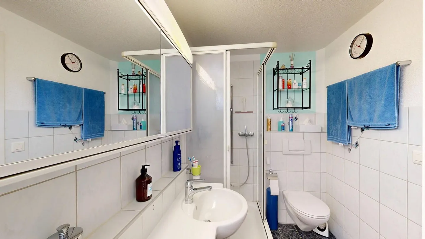 5.5 Room Semi-Detached House in Aarwangen - Photo 13 of 13