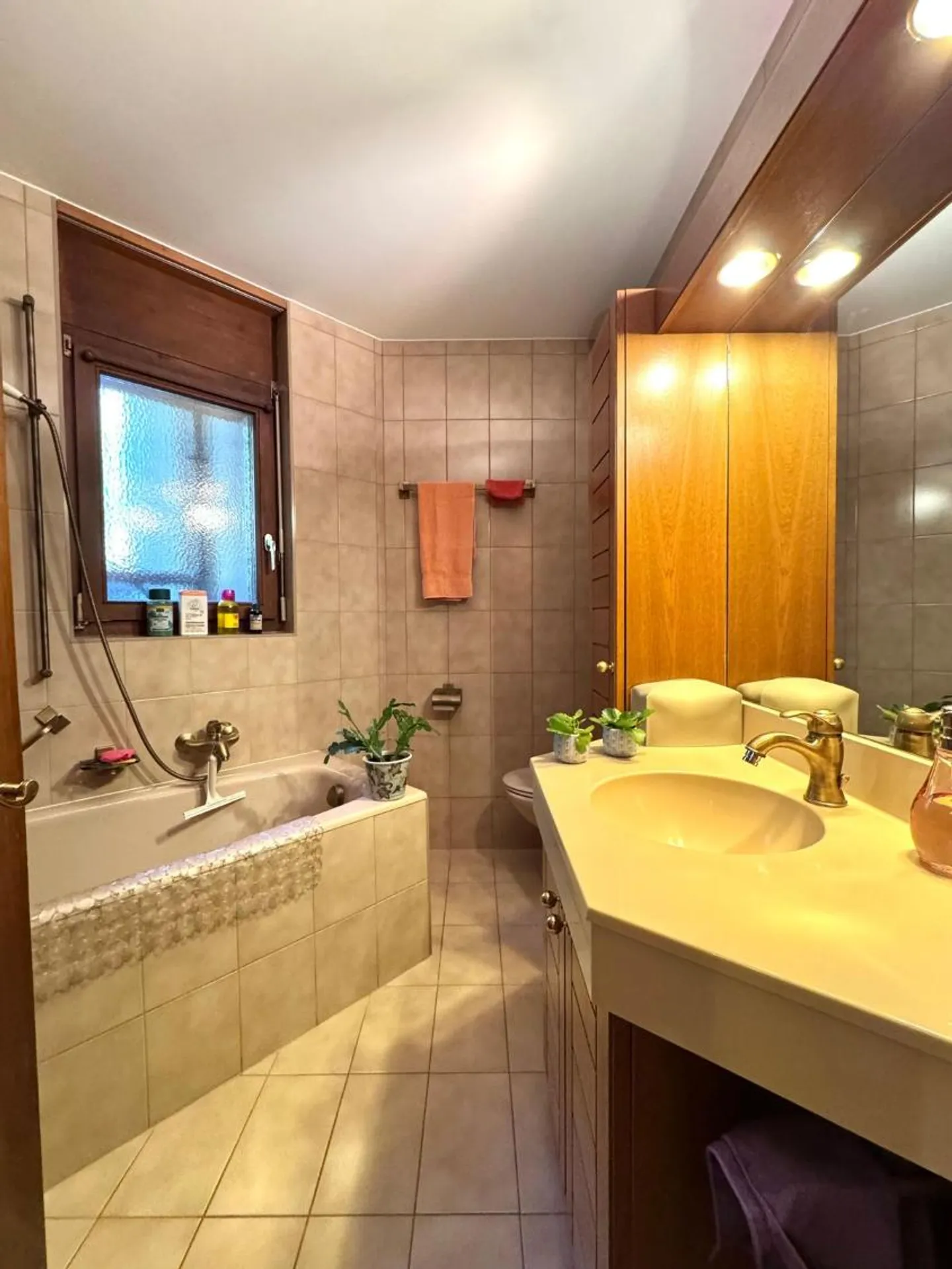 Luxury Apartment with Ski Access - Photo 12 of 13