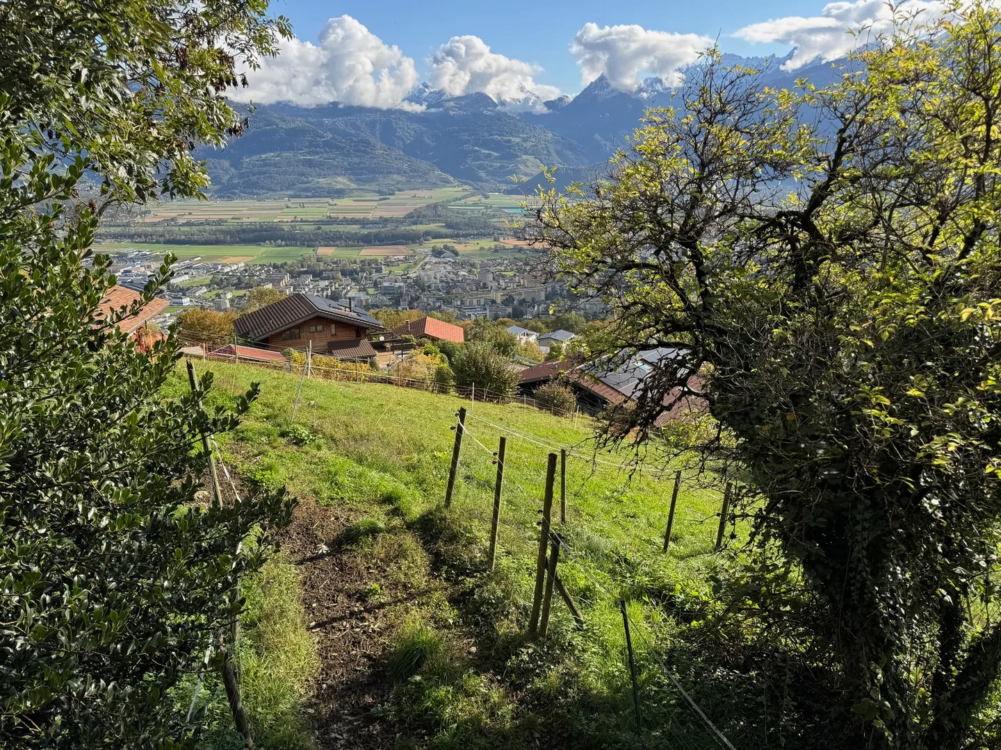 Bauland / Les Neyres / Frei von Mandat / EXKLUSIVITÄT - Foto 3 von 6