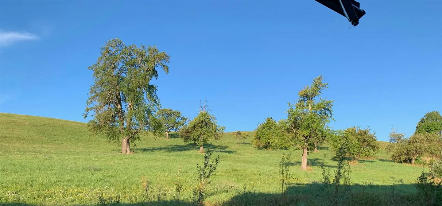 Appartamento 5.5 stanze a Feuerthalen - Foto 2 di 13