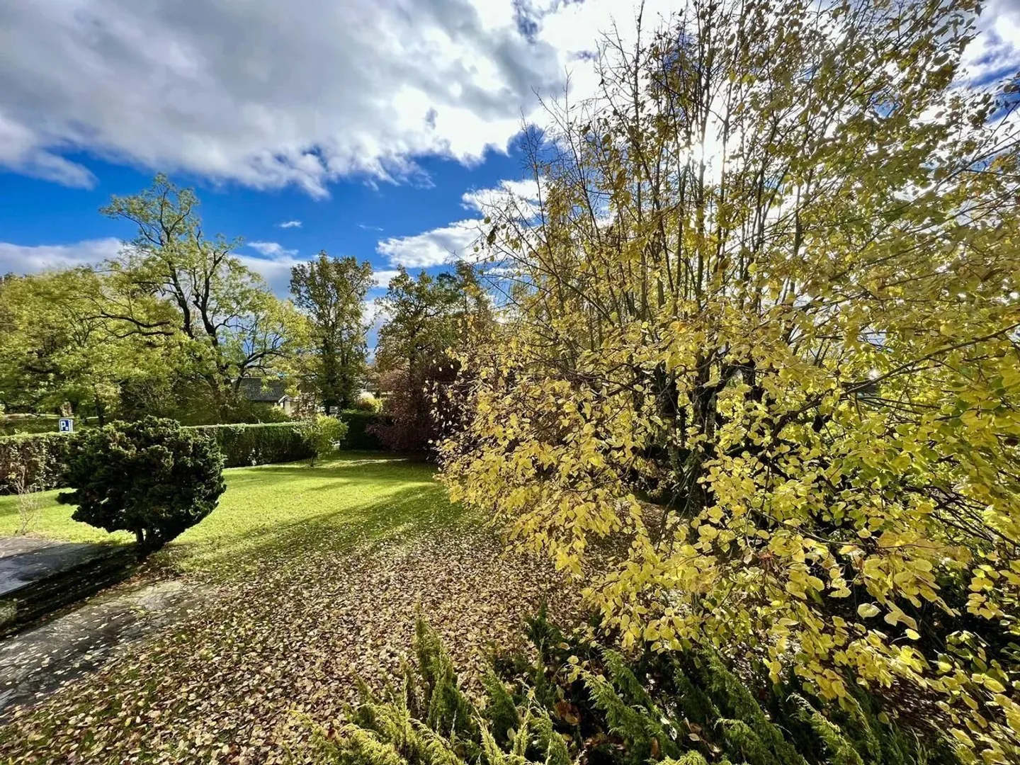 Single house for sale - Photo 18 of 18