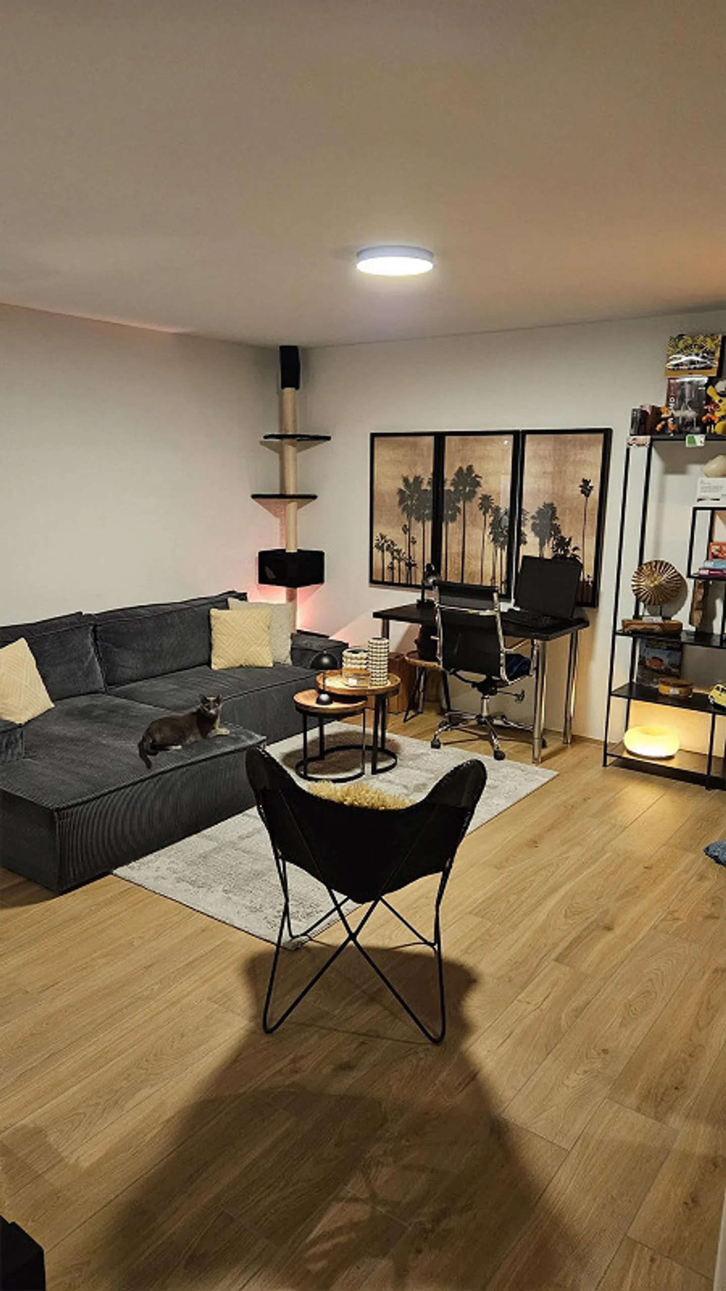 Appartamento moderno di 2,5 stanze con terrazza - Foto 4 di 6