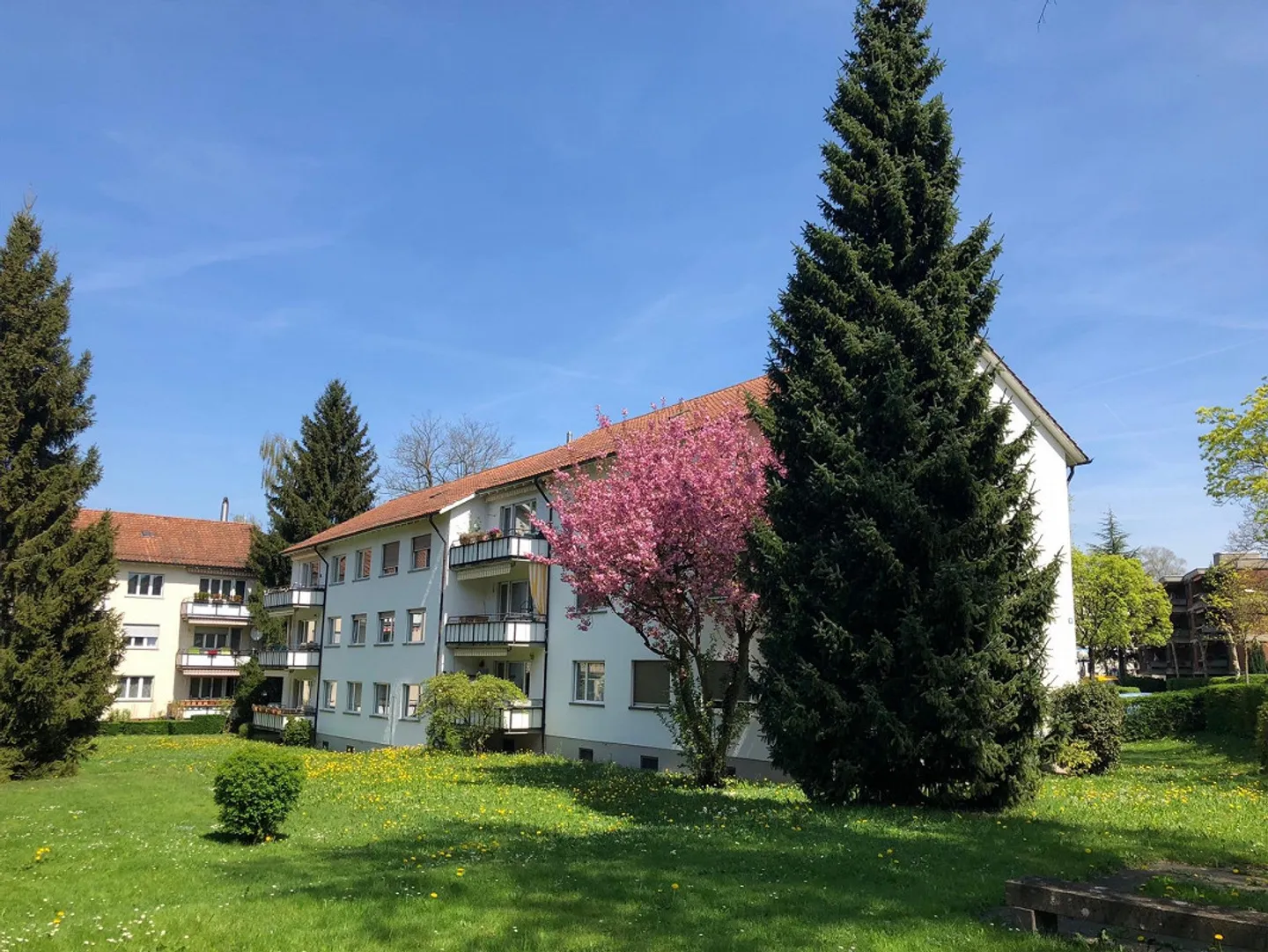 Living in a quiet location in the heart of Zurich - Photo 3 of 5