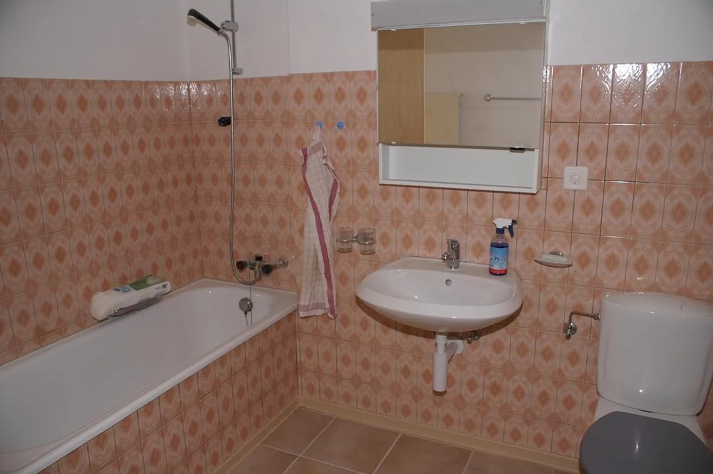 Cozy and Quiet Apartment in the Zurich Wine Region - Photo 6 of 7