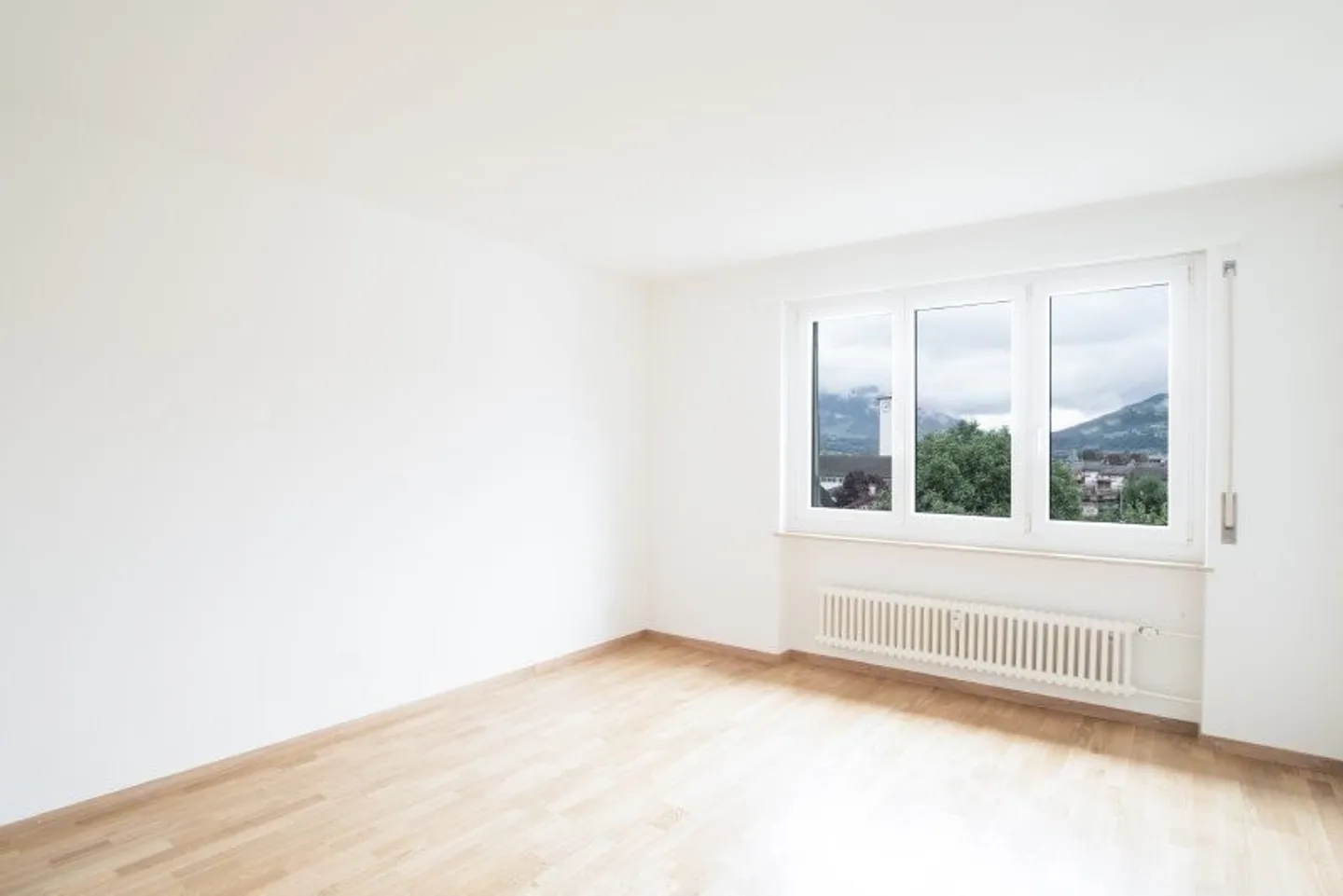 Charming Apartment near Mythen - Photo 3 of 8