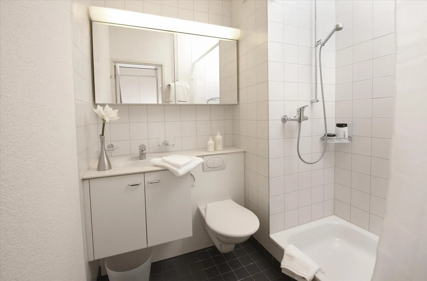 Modernes Apartment im Gundeli - Foto 4 von 6