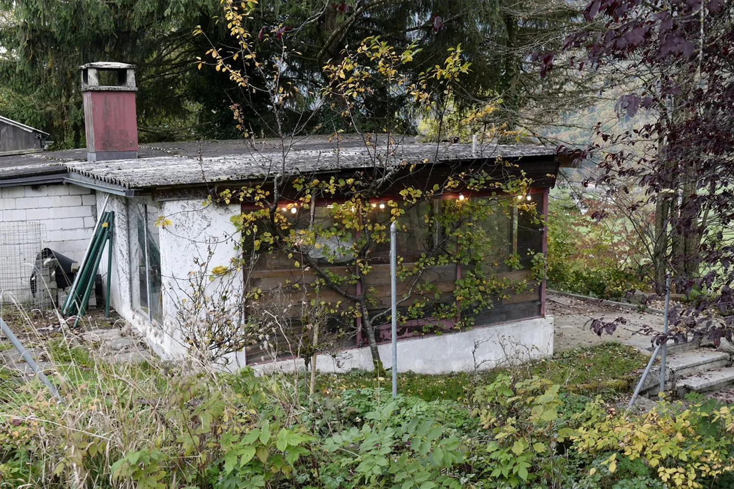 Ferme rénovée de premier plan avec appartement et dépendances - Photo 8 sur 30
