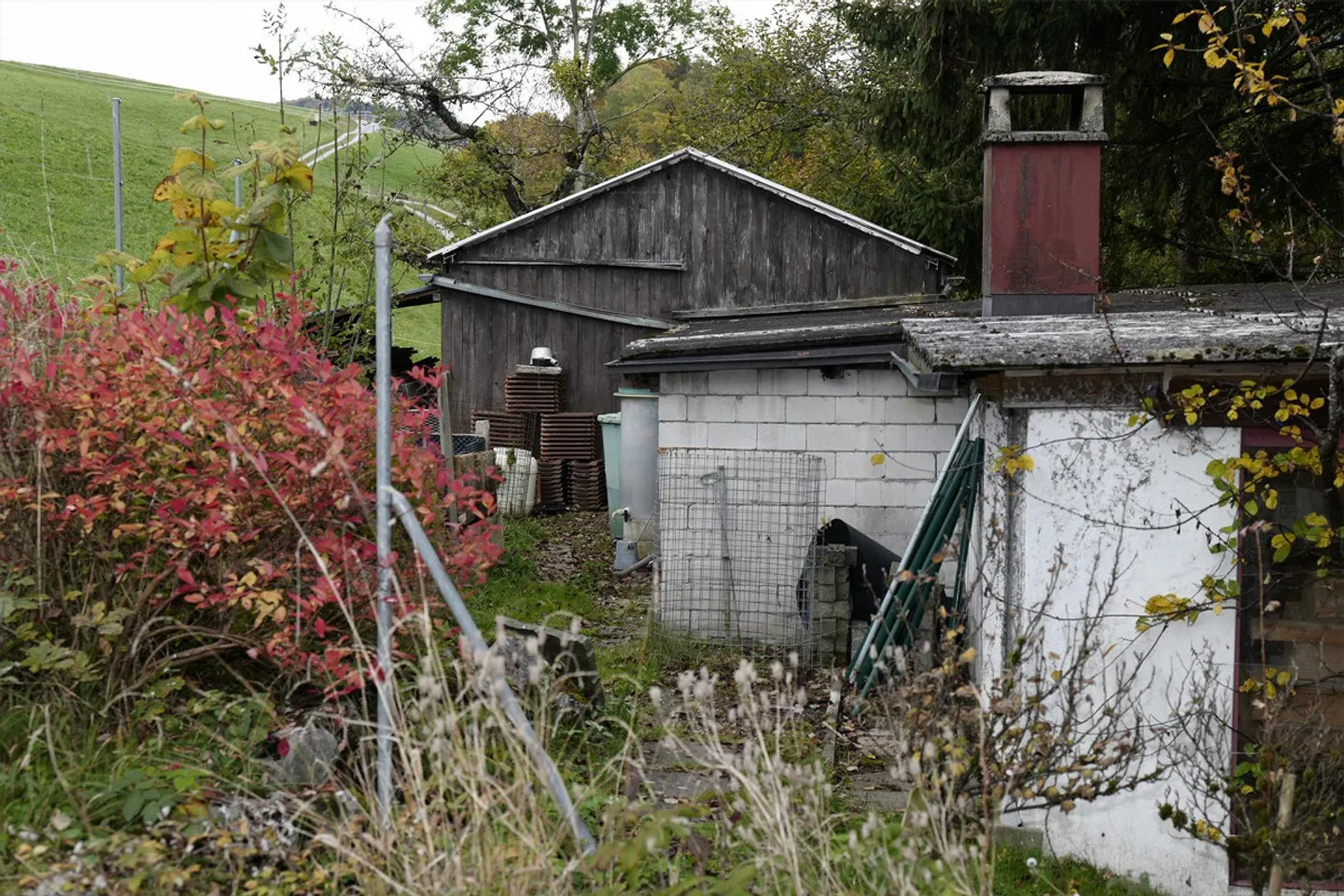 Ferme rénovée de premier plan avec appartement et dépendances - Photo 9 sur 30