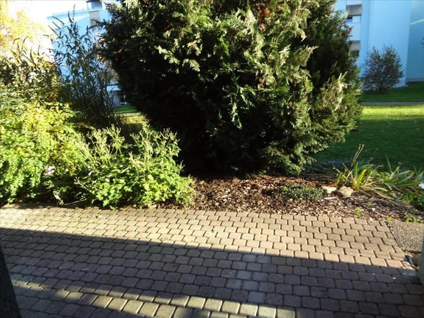 Your new apartment in Spiez? - Photo 12 of 13