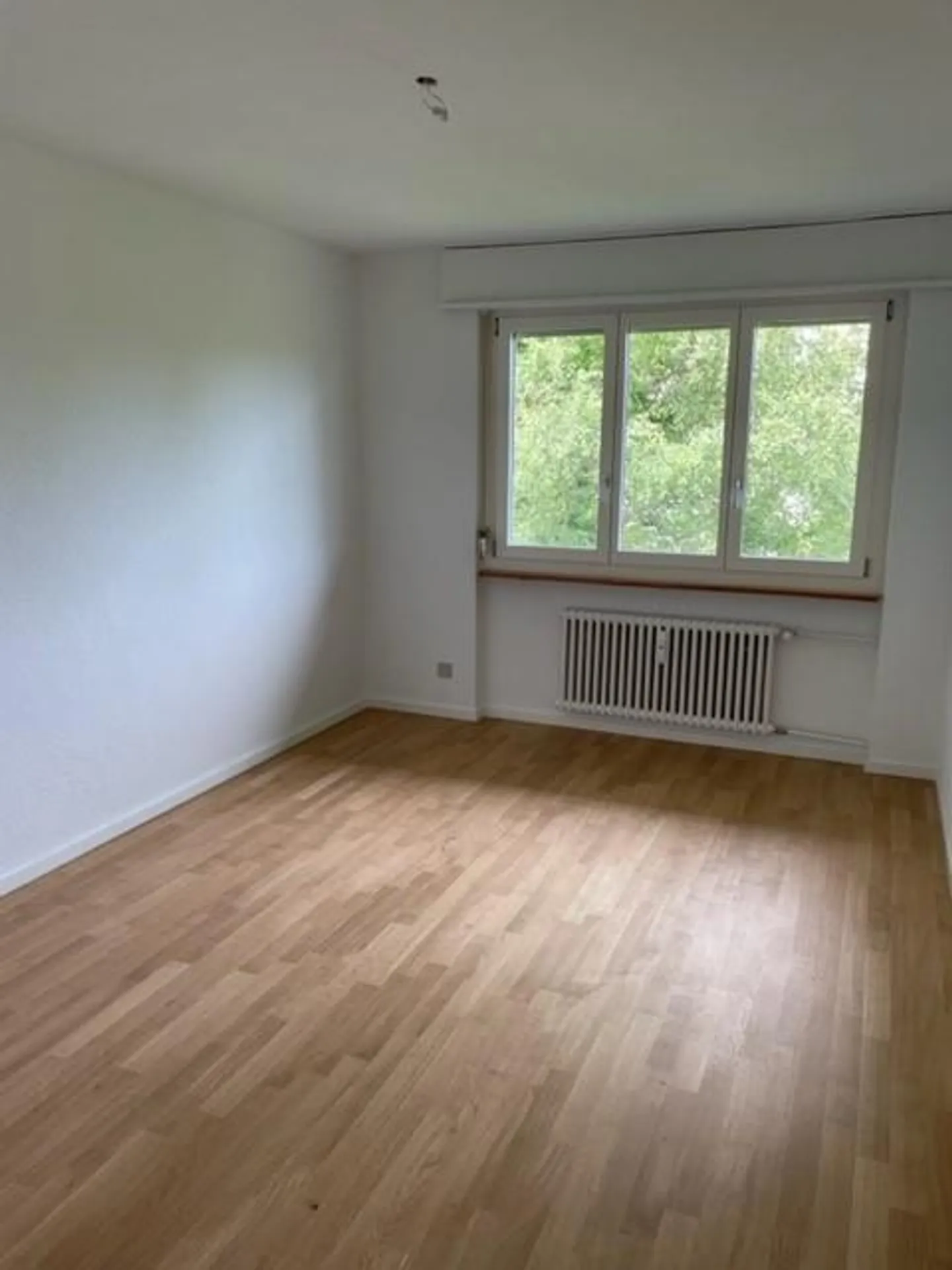 Appartamento luminoso e inondato di luce cercasi? - Foto 3 di 8