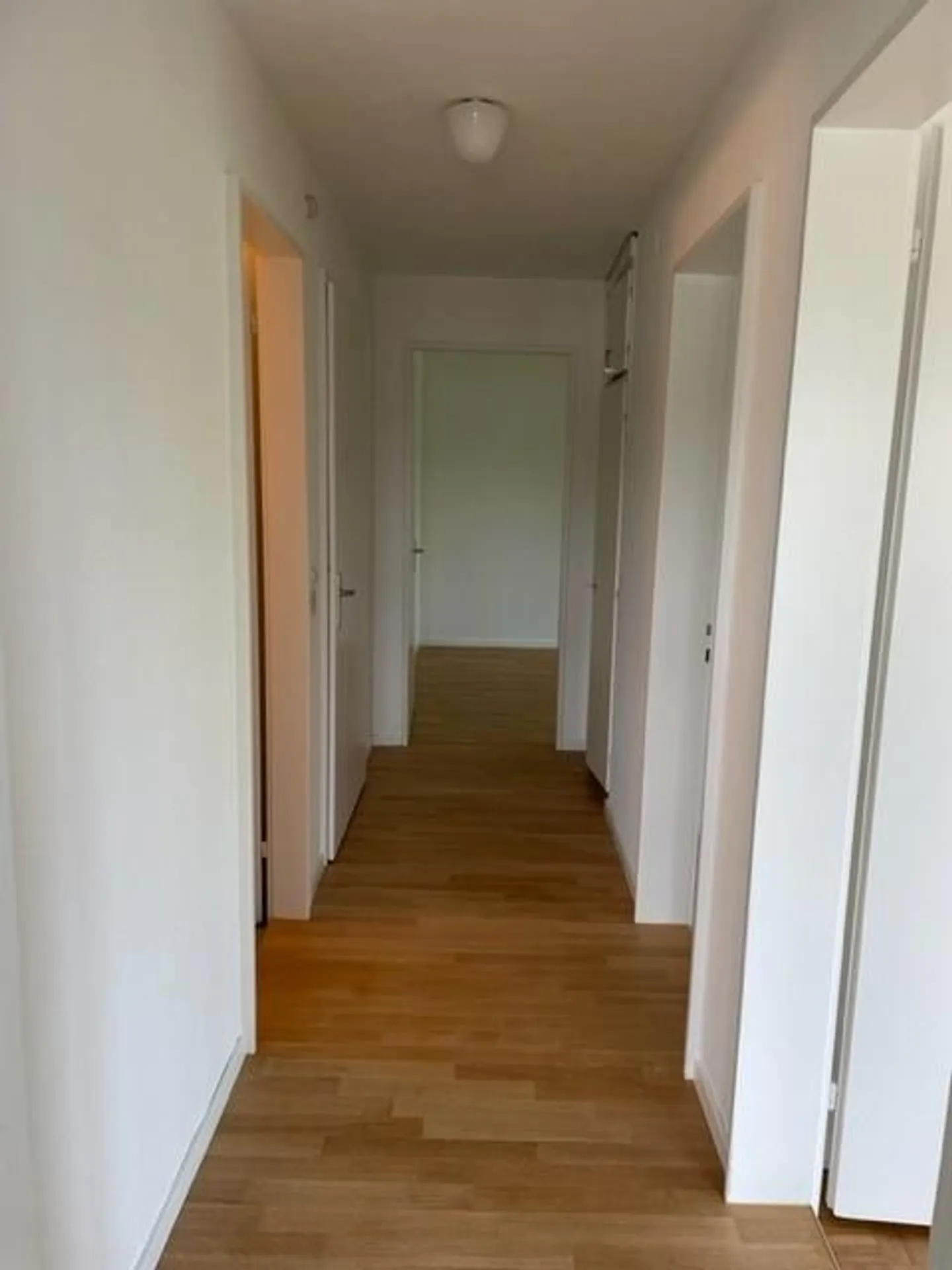 Appartamento luminoso e inondato di luce cercasi? - Foto 6 di 8