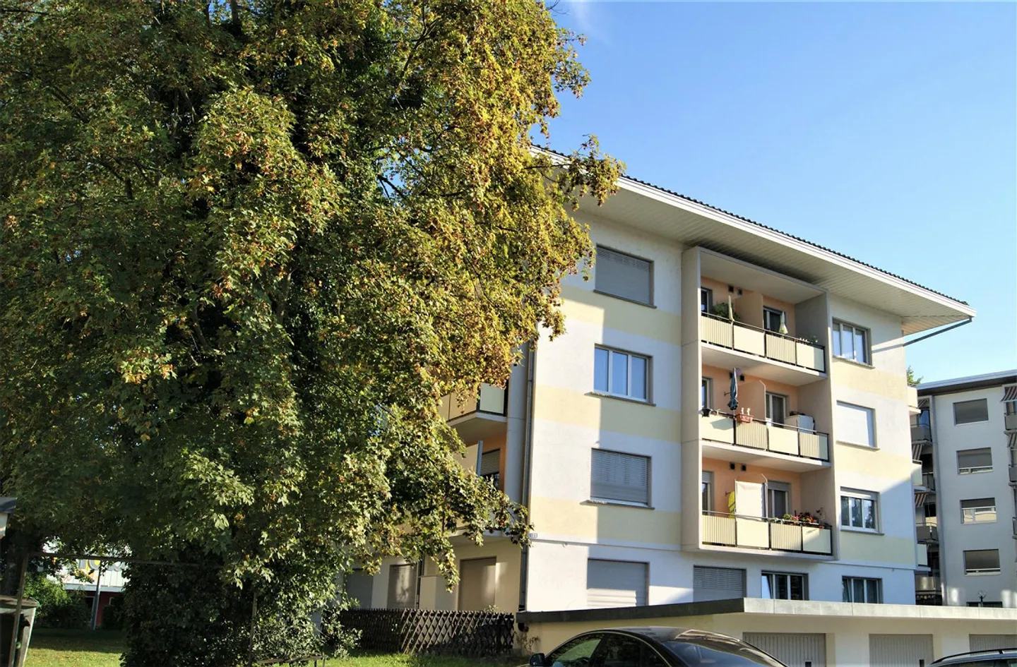 Appartamento luminoso e inondato di luce cercasi? - Foto 8 di 8