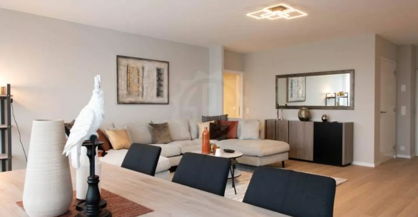 Außergewöhnliche Wohnung - Genf - Foto 4 von 10