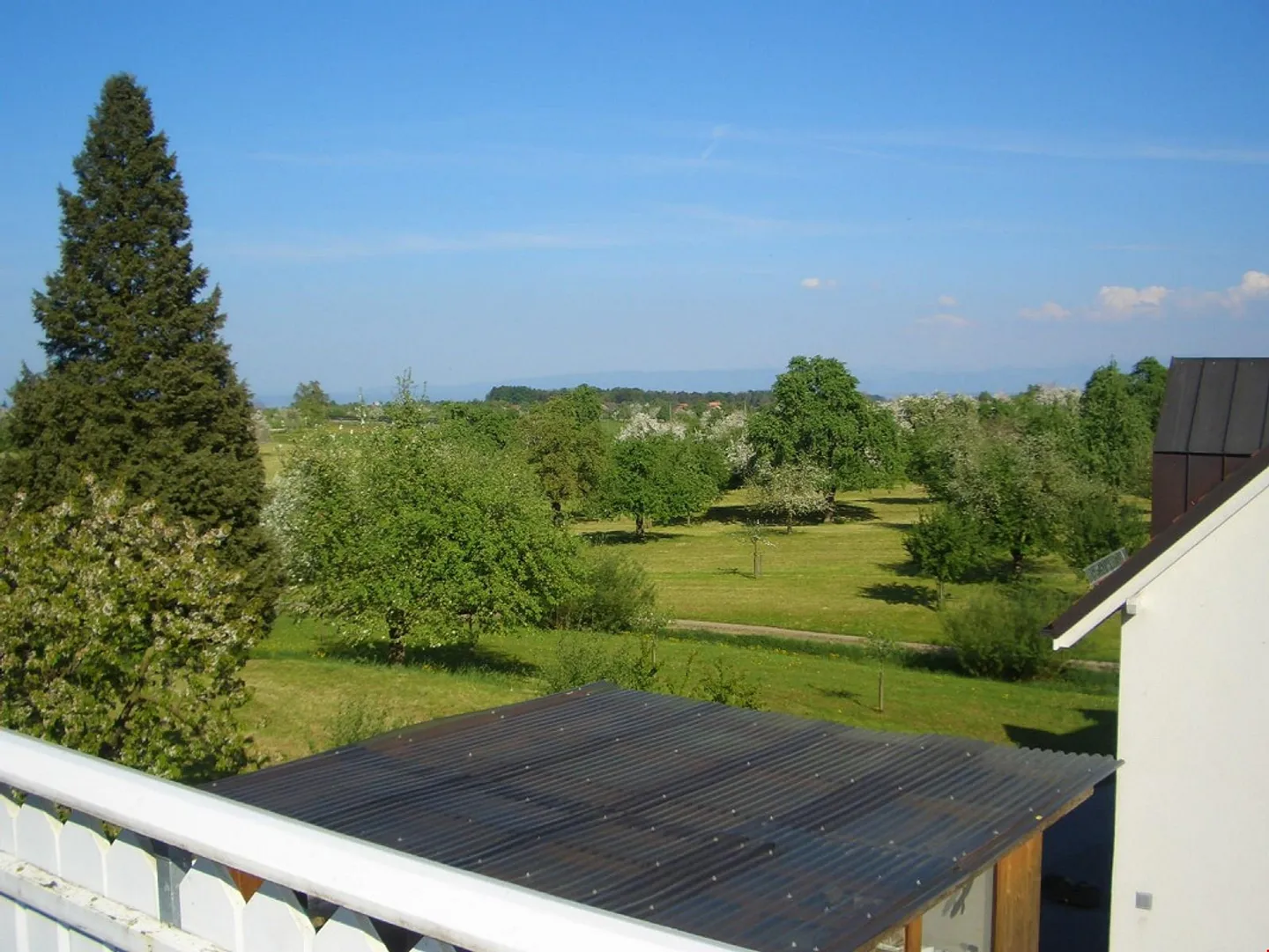 2 1/2 Room Apartment - with huge, sunny terrace - Photo 4 of 9