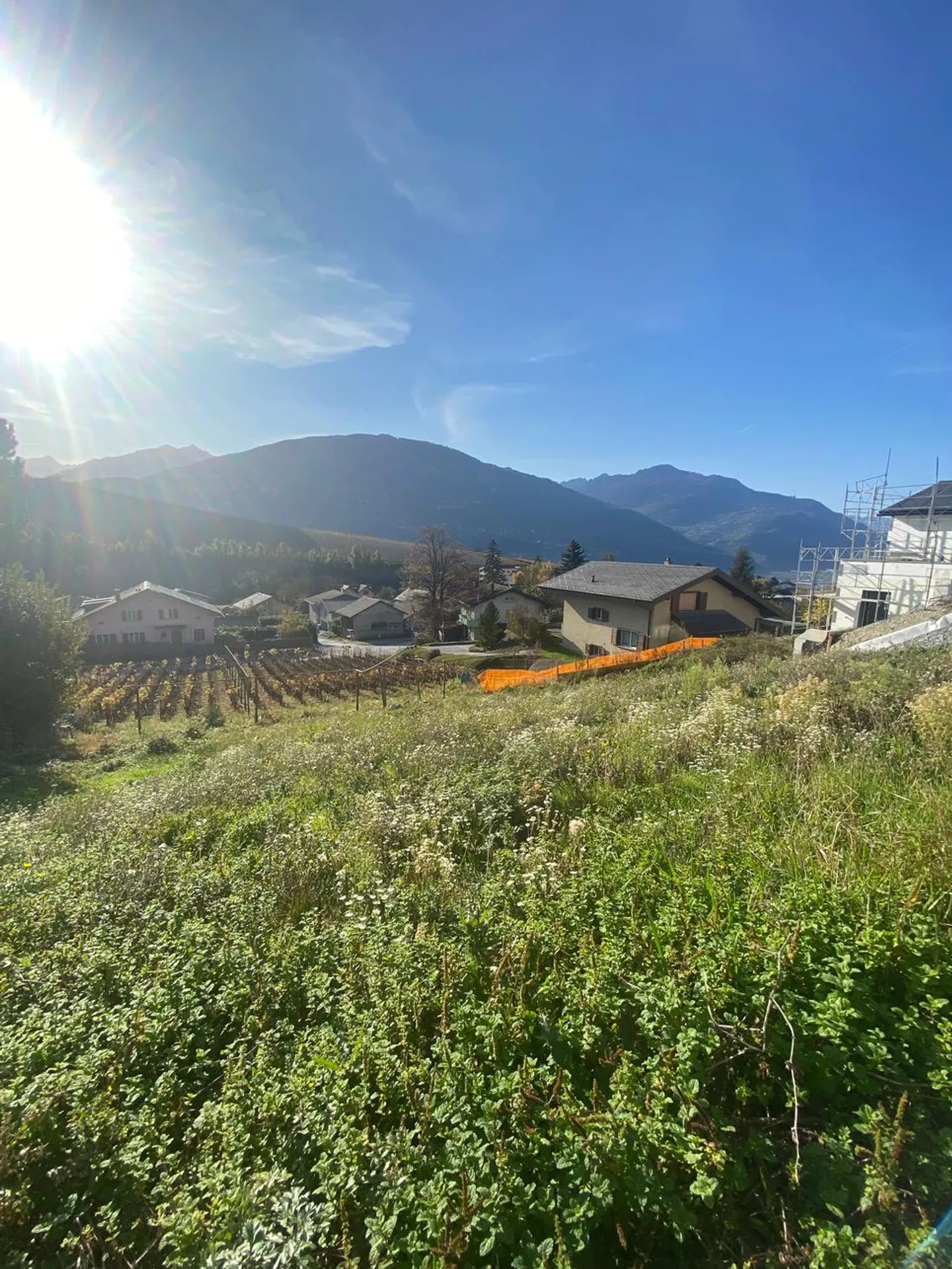 Terrain Champlan - Photo 1 sur 3