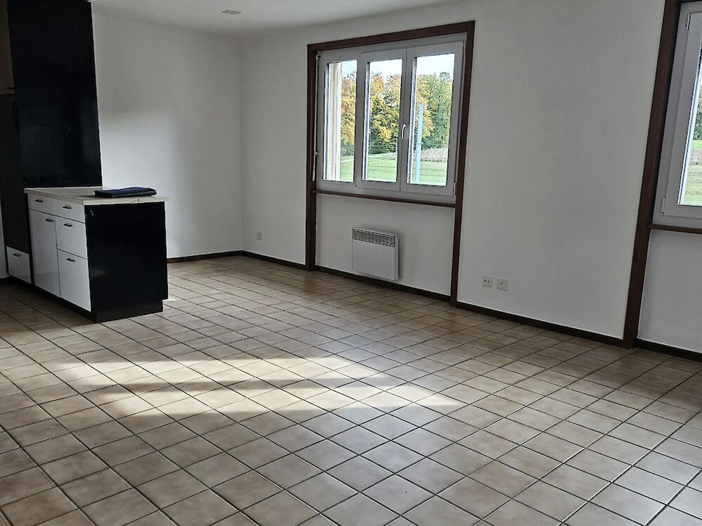 Appartamento 2.5 stanze - Foto 6 di 7