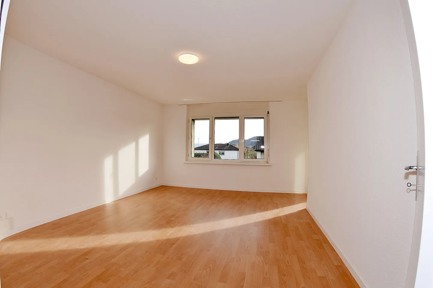 A dream comes true ... - Photo 11 of 14