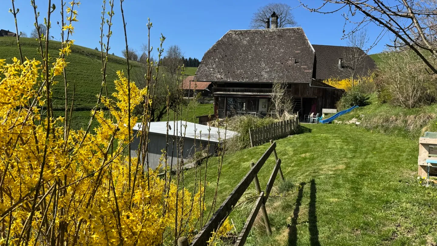 Stöckli dans un emplacement idyllique dans le vert - Photo 6 sur 15