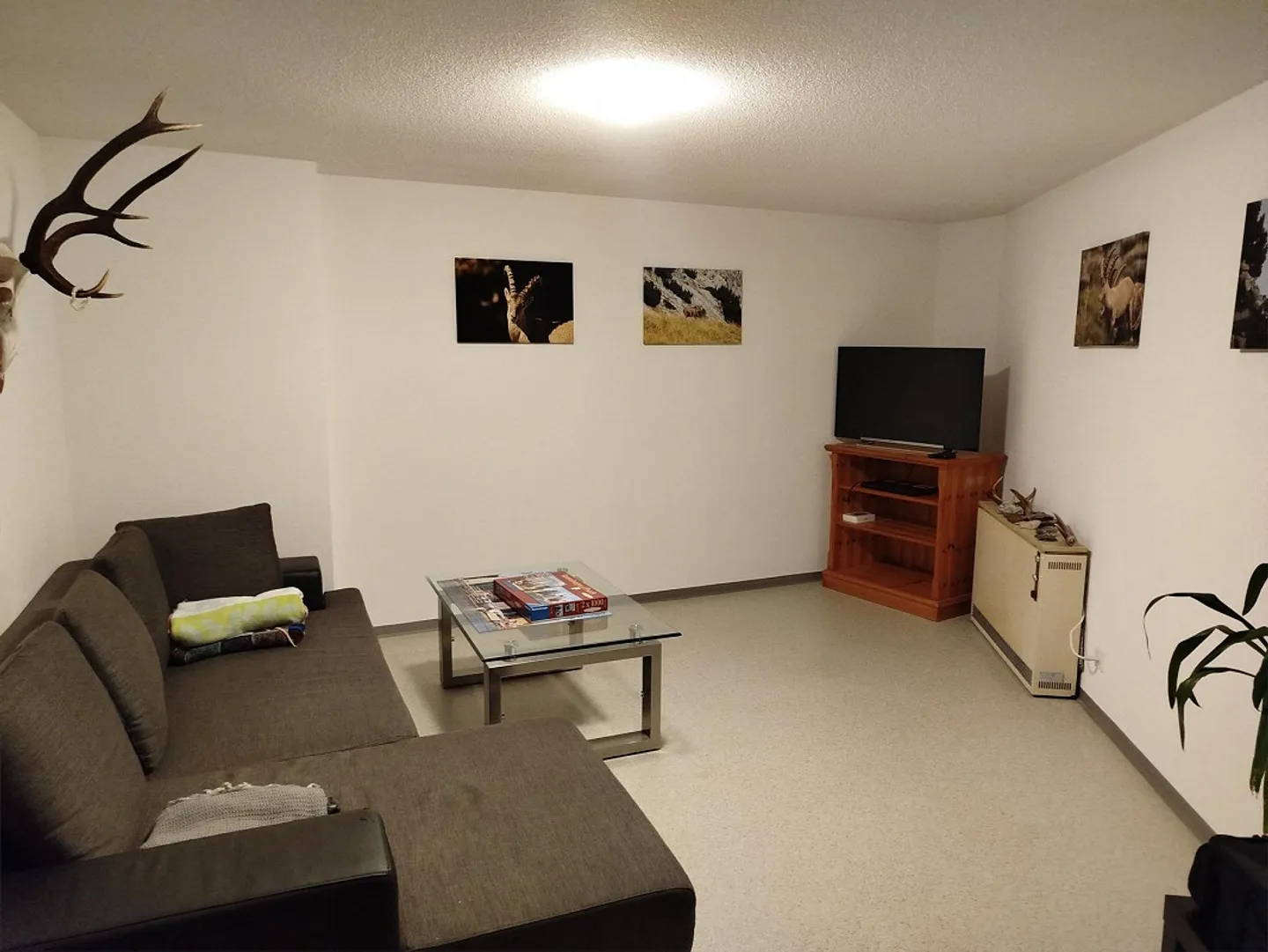 Appartement 3.5 pièces - Photo 5 sur 9