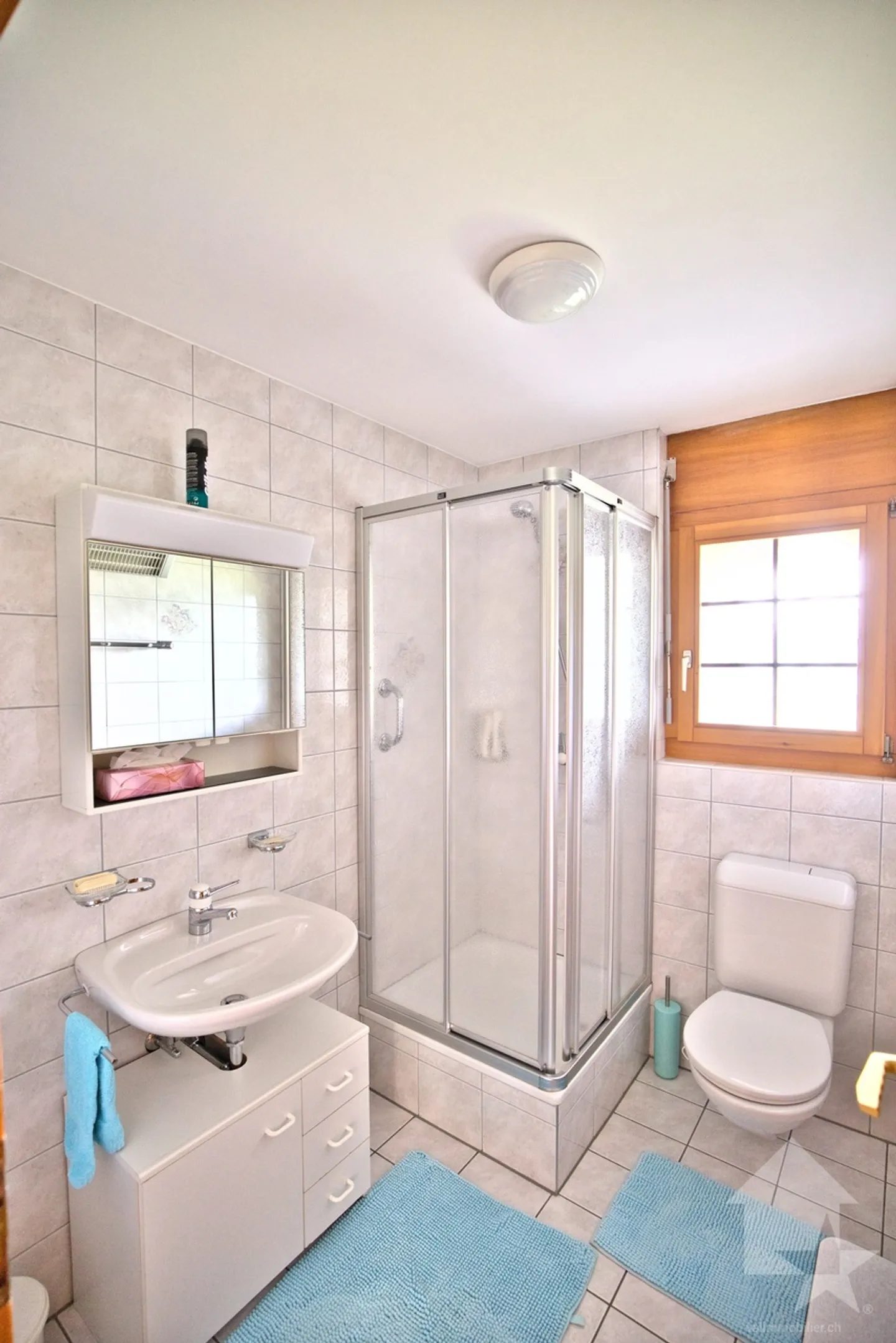 Chalet con 2 appartamenti su un grande lotto, posizione eccezionale! - Foto 26 di 43
