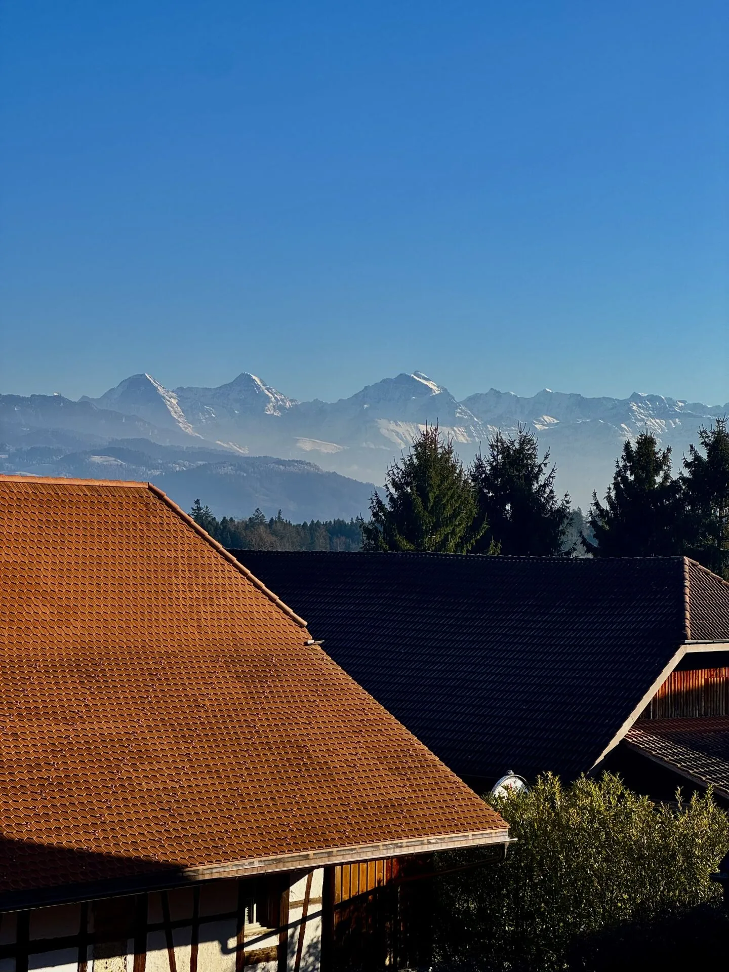 Appartamento duplex di 5,5 stanze soleggiato con vista sulle Alpi - Foto 5 di 5