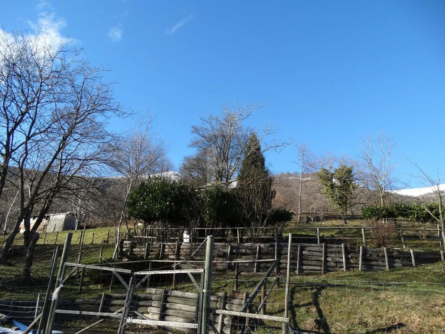 PASTURE FOR HORSES - Photo 2 of 6