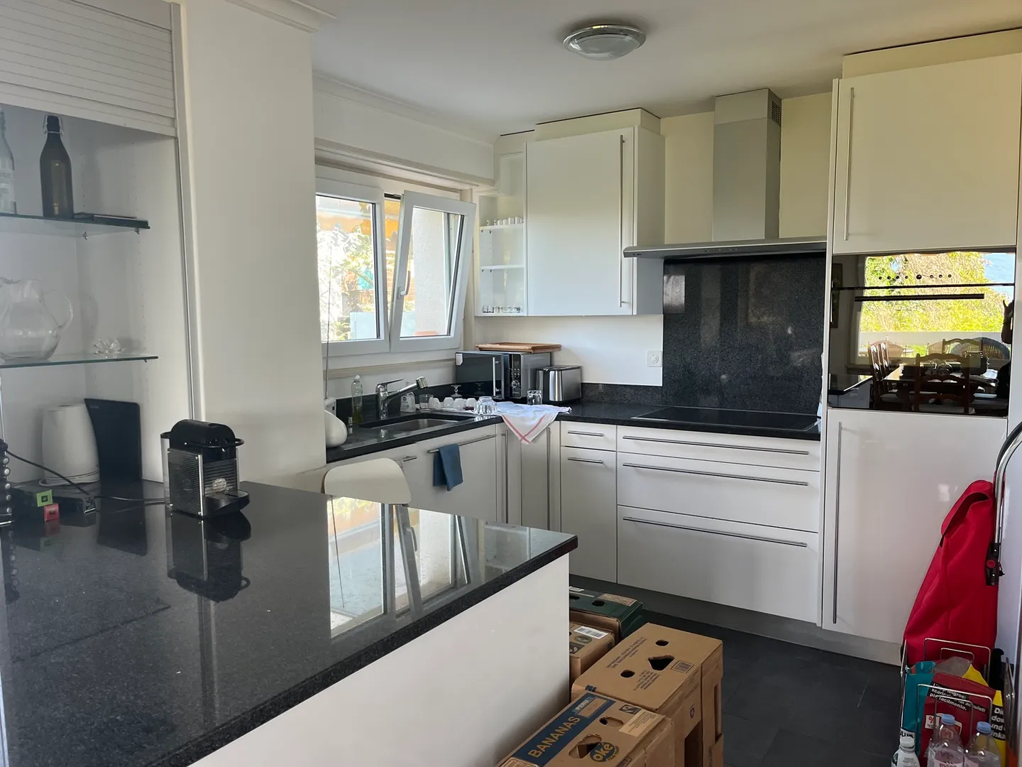 APPARTAMENTO 4 STANZE A LA TOUR-DE-PEILZ (VD), ARREDATO, A TEMPO DETERMINATO - Foto 4 di 10