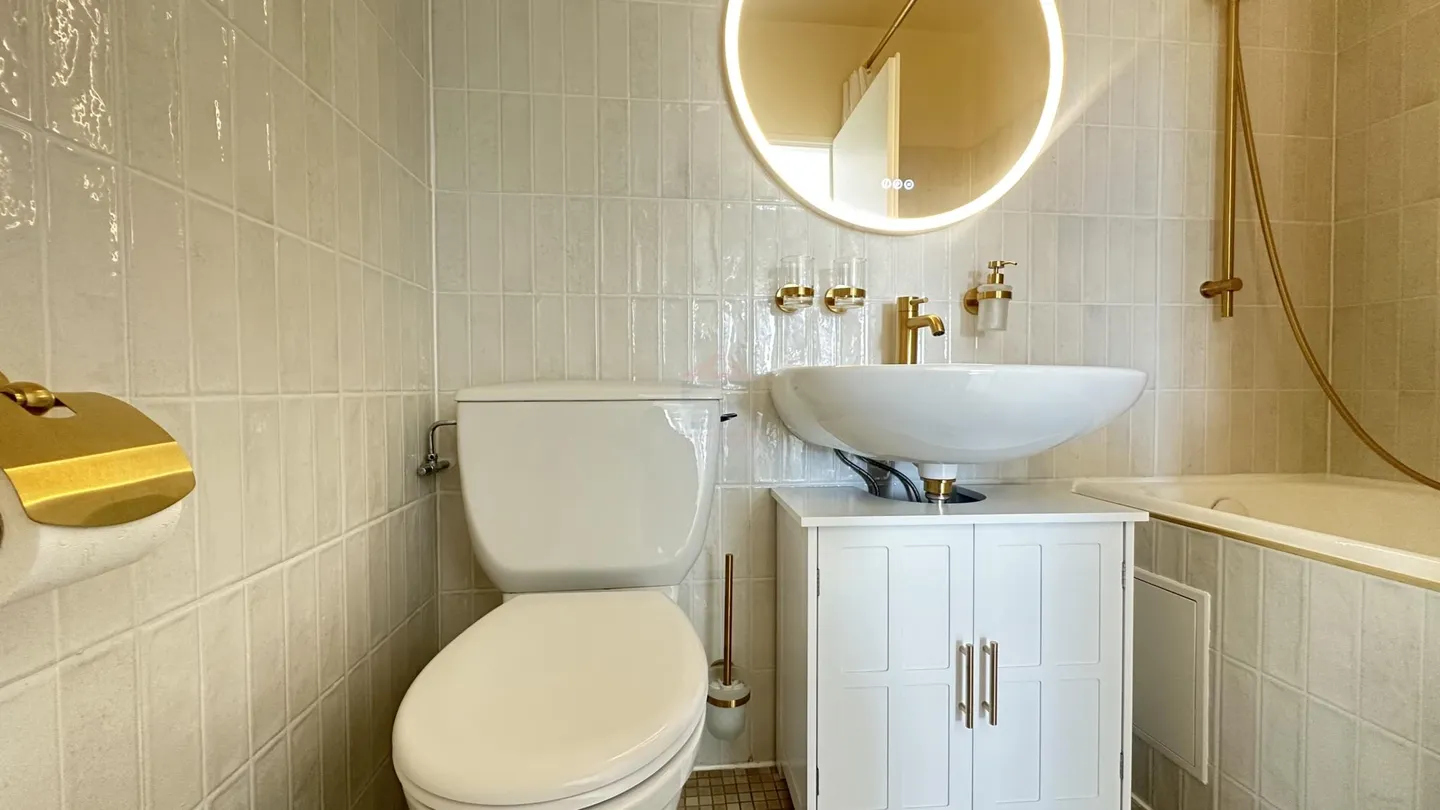 Renovated Apartment in Grand-Saconnex - Photo 5 of 6