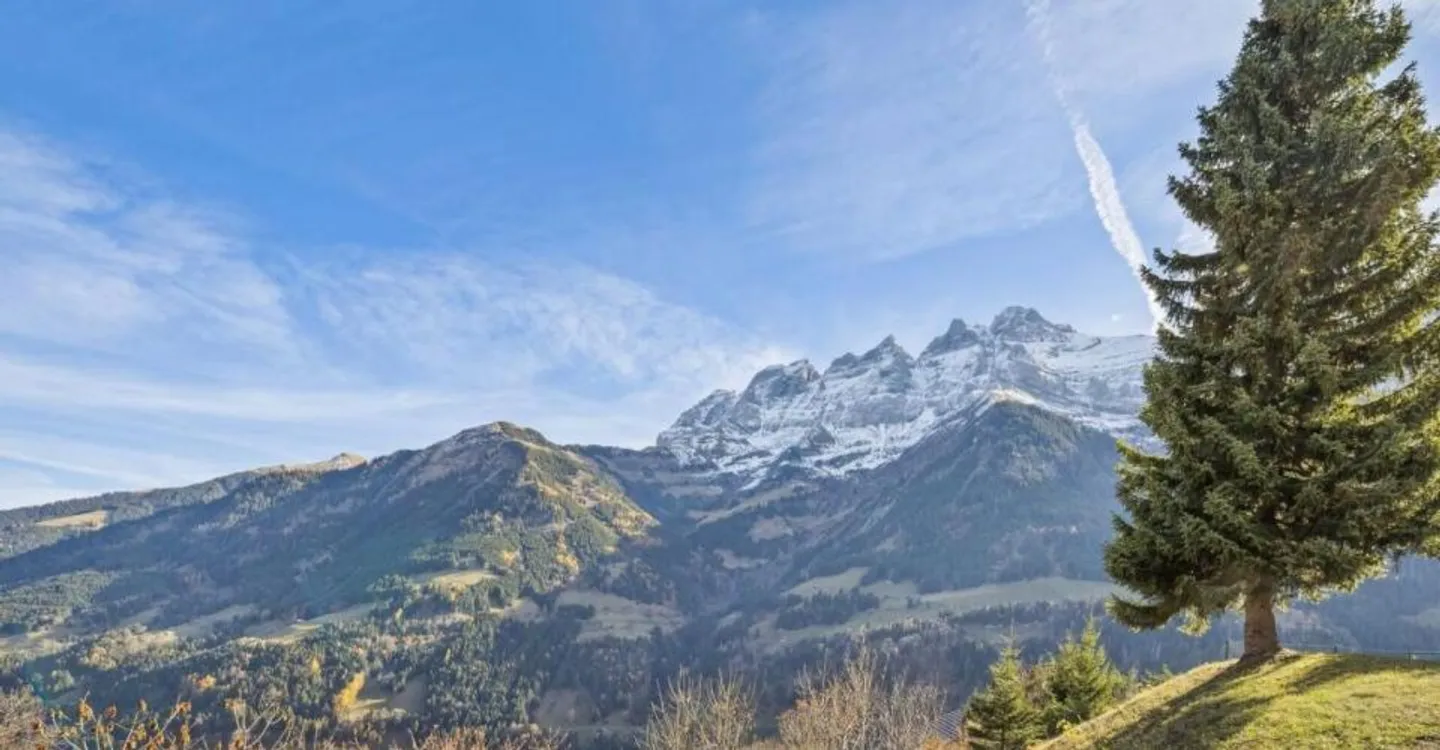 Stunning New Chalet in Champéry - Photo 5 of 9